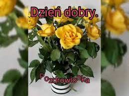Tego pina i nie tylko znajdziesz na tablicy cytaty na dzień dobry użytkownika danuta rusek. Udanej Soboty Youtube