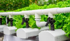 8 Best Hydroponic Drip System Of 2021 Reviewed Buyer S Guide