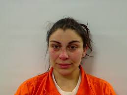 Pennsylvania woman pleads guilty to charges stemming from December police  chase