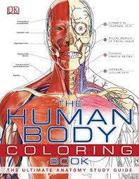 Related searches:human human anatomy body parts human aging body human heart woman body. The Human Body Coloring Book The Ultimate Anatomy Study Guide Paperback August 15 2011 Buy Online In Angola At Angola Desertcart Com Productid 12123307