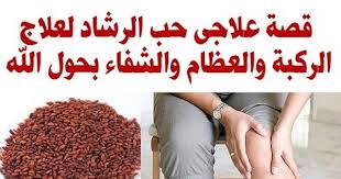 قصة علاجى حب الرشاد لعلاج الركبة والعظام والشفاء بحول الله Health Fitness Youtube Health