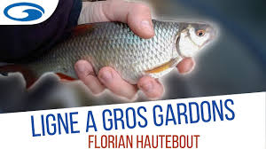Tuto Gardon Quelle Ligne Pour La Peche Au Coup Des Gros Gardons Youtube