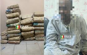 NGATHIE NAOUDÉ 55 kilos de chanvre indien "minés" dans les champs salins.  (Libération)