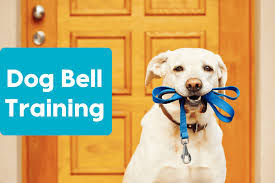 Ringing the bell before exiting for a potty break teaches the pup to touch redenbach also recommends teaching puppies basic commands such as how to come when called. Dog Bell Training Teaching Dogs To Use A Potty Bell Pupford