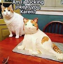Cat Cake Karen Karen Cat Memes Cat Lovers Humor Cat Memes