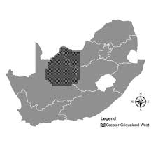 Image result for Deverra burchellii