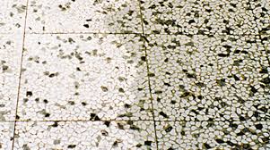 Terrassenplatten Reinigen 5 Arten Terrassensteine Zu Reinigen