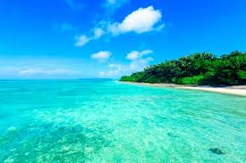 Image result for 沖縄の海