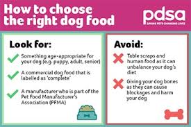 Large dogs have a higher risk of developing joint problems, so a large breed puppy food should include proper because puppies grow at such fast rates, they need to start eating a complete and balanced puppy. Your Dog S Diet Pdsa