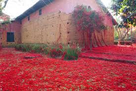 Published tuesday, june 22, 2021 in the daily. Site Specific Colossal Page 3