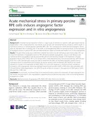 I grew up in logan. Pdf Acute Mechanical Stress In Primary Porcine Rpe Cells Induces Angiogenic Factor Expression And In Vitro Angiogenesis