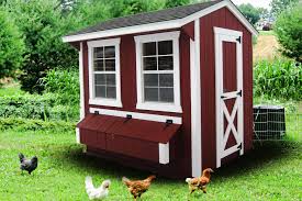 This saves you money on shipping. Small Backyard Chicken Coops For Sale In Mt Wy And Id Chickens Backyard Backyard Chicken Coops Chicken Coop