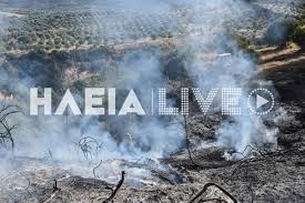 We did not find results for: 7 Sy Gwt6ypbpm