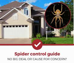 Quiz yourself on site, cite, and sight! Spider Exterminator What Does Spider Extermination Cost