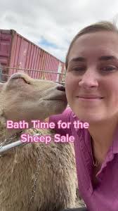 Bath time for the little sheep! #fyp #bathtime #sheep #lamb #agri #farmer  #GradeUpWithGrammarly
