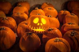 In this section you will find frightening recipes to ente. 11 Fakta Menarik Tentang Halloween