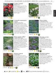 We did not find results for: Lychnis Lipstick Lysimachia Nummularia Creeping Jenny Flip Ebook Pages 1 23 Anyflip Anyflip
