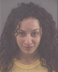 ᐅ Illinois Criminal Records 2009-2026