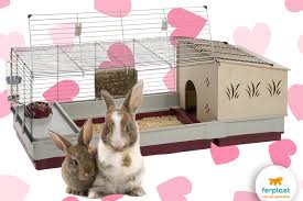 Truthfully, bunnies don't necessarily need bedding in their cages. Rabbits And Reproduction Love Ferplast