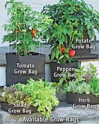 Garden Lattice Rug 1 8 X 3 7 Container Gardening Vegetables Veggie Garden Garden Supplies