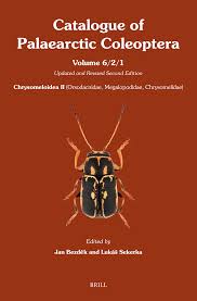 Image result for Chrysochloa