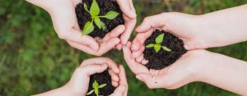 Dia mundial del medio ambientedia mundial del medio ambiente. 10 Actividades Para Celebrar El Dia Mundial Del Medio Ambiente Aprender A Cuidar El Planeta Educacion Guia Del Nino