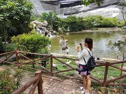 2020 top things to do in bali. 10 Things To Do In Sepang