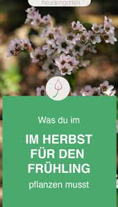 Was Du Im Herbst Fur Einen Zauberhaften Fruhlingsgarten Pflanzen Solltest In 2020 Pflanzen Garten Fruhlingsgarten
