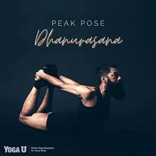 Peak Pose Dhanurasana In 2020 Poses Yoga Education Basic Yoga
