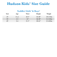 Hudson Kids Chino Jogger In Thunder Black Big Kids