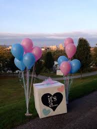 The Best Gender Reveal Balloon Box How To Make A Gender Reveal Balloo Belle Beau Confetti Co