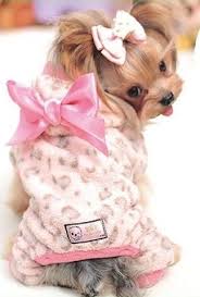 Winter Dog Clothes Leopard Dog Clothes Pet Supplies Wholesale Manufacturers Cute Pet Products Dog Winter Clothes Cute Dog Clothes Small Dog Clothes