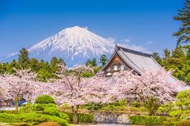 Fujinomiya The Shizuoka Tourism Area At The Foot Of Mt Fuji Japan S Tallest Mountain