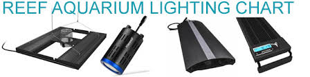 Marineandreef Com Reef Aquarium Lighting Chart