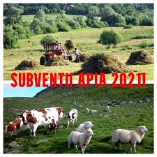 Doua saptamani de foc la apia. SubvenÈ›ii Apia 2021 CondiÈ›ie Obligatorie In Acest An Pentru Plata SubvenÈ›iilor Apia Agroinfo Ro