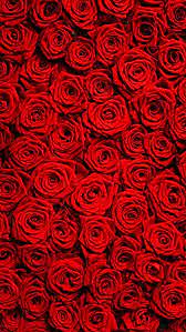 Kostenlose wallpaper und hintergrundbilder für desktop oder smartphone. Wallpaper Iphone Red Roses Wallpaper Gothic Wallpaper Pretty Wallpaper Iphone