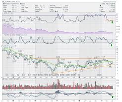 cameco can this dog bark dont ignore this chart