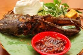 Meskipun demikian, ada juga konsumen yang tidak tertarik karena dagingnya terlalu dianggap terlalu berlemak. Enak Dan Murah Makan Ikan Lele Ternyata Dapat Memicu Munculnya Penyakit Mematikan Semua Halaman Hai