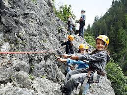 Image result for Streblochaete