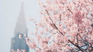 The copyright of the image is owned by the owner, this website only displays a few snippets of several keywords that are put together in a post summary. Fondos De Pantalla Tumblr Pc