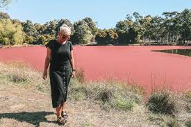 27 Amazing Things To Do In Canberra Things To Do Cool Places To Visit Pink Lake