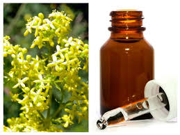 Ceaiul din sanziene curata rinichii, pancreasul, ficatul si splina de anumiti factori patogeni, dar vindeca si tulburarile sistemului limfatic. ReÅ£eta De TincturÄƒ De Sanziene Galbene Pentru Hernie CistitÄƒ Si Boli Renale Top Remedii Naturiste