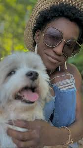 Found a dog in Revere with pink collar