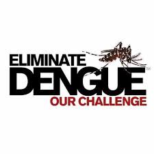 Dengue viruses are transmitted to humans through the bites of infective female aedes mosquitoes. Dengue Patrol Dshah On Twitter No Aedes No Dengue Denguepatrol Denguepatroldshah Mrdengue Meetmrdengue