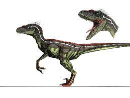We did not find results for: Jp3 Male Velociraptor Jurassic Park Jurassic World Dinosaurs Velociraptor