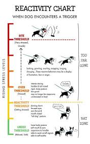 Please Repin Reactivity Chart Learn Stress Signals