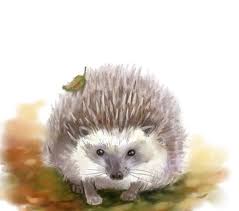 Ich meinte nicht anders, als ob das herz recht angenehm verblute. Hier Erkennen Sie Wie Kann Man Ganz Einfach Einen Igel Malen Schritt Fur Schritt Die Anleitung Ist Auch Dabei Schauen Bilder Malen Einfach Tiere Malen Igel