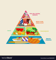 healthy food pyramid poster in flat style