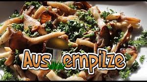 Gebratene Austernpilze In Der Pfanne In 2020 Austernpilze Rezept Austernpilze Braten Austernpilze