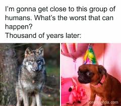 See more ideas about jokes, funny pictures, funny. 30 Of The Funniest Memes Shared In The History Memes Online Group Demilked